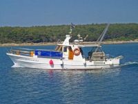 Apartmani Villa Diana Apartmani Villa Diana, Punat (Otok Krk)